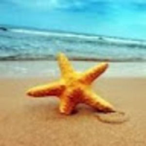 Meet your Posher, Shin